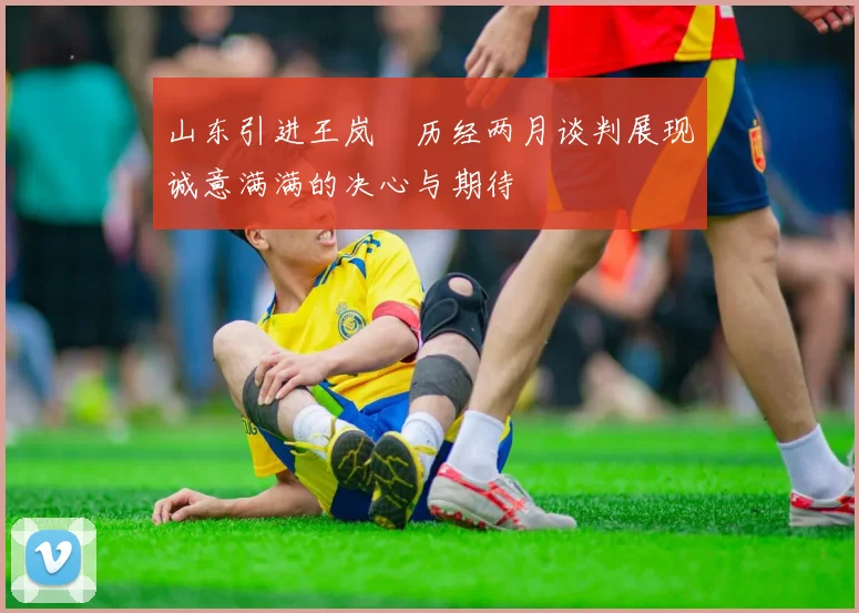 山东引进王岚嵚历经两月谈判展现诚意满满的决心与期待