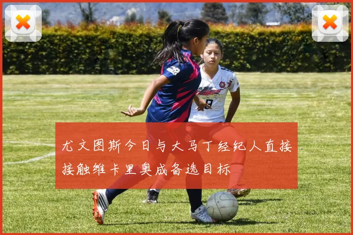 尤文图斯今日与大马丁经纪人直接接触维卡里奥成备选目标