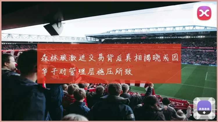 森林狼激进交易背后真相揭晓或因华子对管理层施压所致